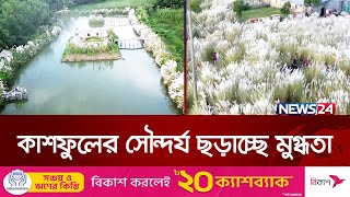 শুভ্র কাশফুলে ছেয়ে গেছে বরগুনার বিভিন্ন চরাঞ্চল | Kashful | Autumn | Barguna | News24