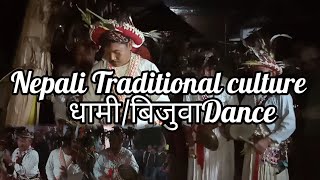 Nepalese Traditional Culture Dance || Bijuwa Dance in Nepal