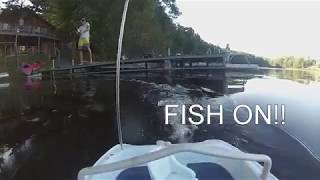 Catching Fish with Remote Control Boat!