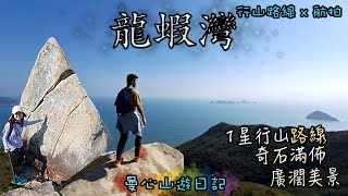 龍蝦灣郊遊徑 l 大嶺桐 l 跳板石 l 魚魚石 l 勝利石 l 休閒假日郊遊路線 | 香港行山路線詳細分享 + 航拍 | 曼心山遊日記