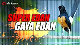 MURAI GACOR SUPER EDAN GAYA FIGHTER MATERI ISIAN MEWAH