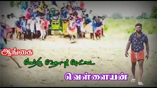 TN 61 Jallikattu Lovers