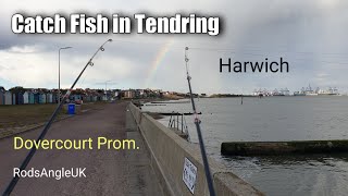 Catch Fish in Tendring: HARWICH - DOVERCOURT PROMENADE