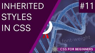 CSS Tutorial For Beginners 11 - Inheritance
