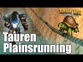 Increase your running speed with Tauren Plainsrunning on Turtle WoW! [Classic+]