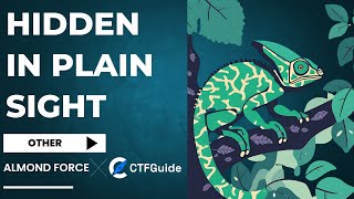 CTFGuide: Hidden In Plain Sight