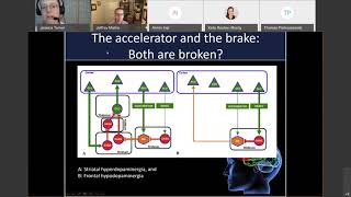 BSI Cognitive Neuroscience Journal Club:   Dopamine Transmission Dr  Jessica Turner