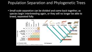 AP Environmental Science Chapter 3