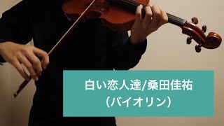 白い恋人達 / 桑田佳祐（バイオリン）