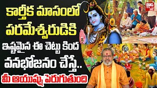 Karthika Vanabhojanalu | కార్తీక మాసంలో ఈ చెట్టు కింద వనభోజనం చేస్తే.. | Karthika Masam 2024 | BIGTV