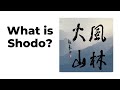 What is Shodo?