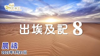 這是神的手段｜出埃及記 8章  顏慶水牧師｜2025 01 31