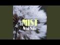 Mist