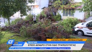 Περιστέρι: Έπεσε δένδρο στην οδό Τραπεζούντας | Ώρα Ελλάδος 15/10/2021 | OPEN TV