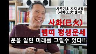 사주기초지지8강 사화巳火 내사주 내가 본다 사화(巳火)의 특성과 변화를 정리하였습니다