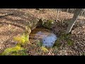 abandoned gold mine in uwharrie national forest nc