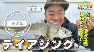 【ルアパラTV】萩原さんの玄海島デイアジング[12月9日放送]