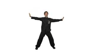 Qigong Exercises to help with back and Winter season