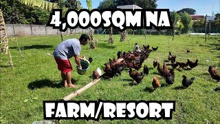 4,000 SQM Heritage Chicken Farm and Private Resort ng Isang IT Professional