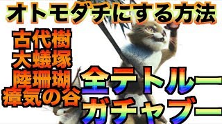 【全テトルーとガチャブーをオトモダチに】古代樹 大蟻塚 陸珊瑚 瘴気の谷のテトルーの居場所！オトモダチにする方法を紹介！MHWI