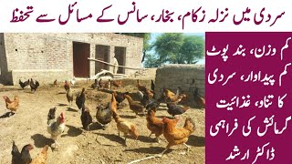 Low Cost Winter Care Strategies for Poultry Birds | Winter Chickens Care | Dr. ARSHAD