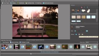 Learn how to create a slideshow in Adobe Photoshop Elements 10