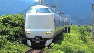 2019/07/25 5083M 特急 はしだて3号 287系(FA02編成)