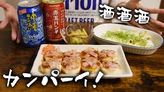 【晩酌】酒飲み女が冷蔵庫の残り物でおつまみを作って飲むリアルな動画【簡単おつまみ】