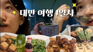 🇹🇼 ep.1 쉿! 대만 귀족 체험중! ^^☆ [대만 여행 브이로그]