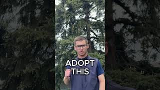 You Already Know What Needs To Go