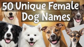 50 UNIQUE Female Dog Names 🐶💖 (Perfect Picks for Your Pup!)