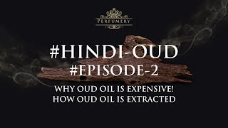 #Hindi-Oud - Episode 02 -What is Hindi Oud, Visiting ASGAA - All Agarw Grower's Association of Assam