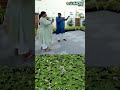 இங்க உக்கார்ந்தா உலகத்தையே மறந்துருவேன் minister roja s garden tour shorts