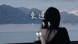 羊羊 -  來遲「我這一次終究還是來得太遲 錯過了你 此後所有的故事」【動態歌詞】♪