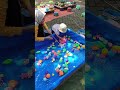 Hanum dan mamah menangkap ikan di kolam#shorts