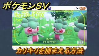 ポケモンＳＶ　カリキリを捕まえる方法！出現場所は？図鑑No.２４７　ポケモン図鑑を埋めよう！　【スカーレット・バイオレット】