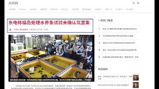 福岛核废水养鱼成功，海鱼还能吃吗？核废水排海要来了？放射氚到底是什么？