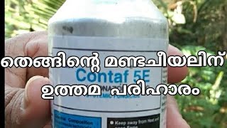 How to prevent (തെങ്ങിൻ്റെ മണ്ട ചീയൽ മാറ്റാം) Phytophthora Palmivora in Coconut plants