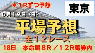 2022 6月19日　平場　競馬予想　東京　前日絶好調！！