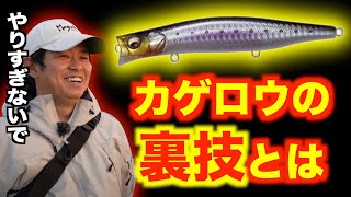 カゲロウの裏技【村岡昌憲/久保田剛之】