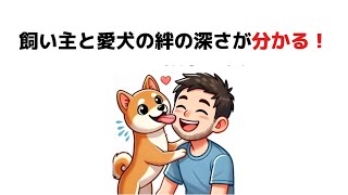 犬の心理の雑学｜飼い主と愛犬の絆の深さが分かる！