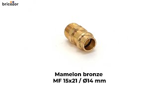 VIDÉO 360° - Mamelon bronze MF 15x21 / Ø14 mm CONEX BANNINGER