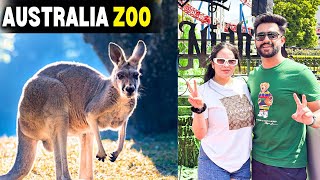 Our Day at AUSTRALIA ZOO – Up Close with Kangaroos \u0026 Koalas!