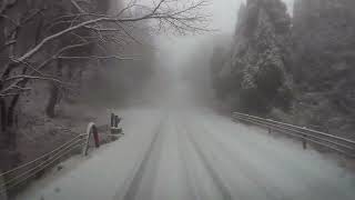 今年一番の寒気：米塚から草千里への雪道 250115a