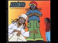 aswad stir it up 2002