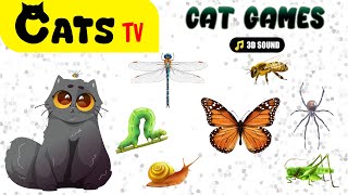 CAT TV | December Bugs Ultimate Compilation | Best games for cats with 3D Sound