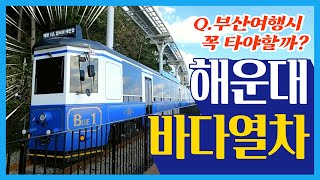 [ENG SUB] [부산여행 브이로그] 해운대 바다열차 타보기ㅣ청사포ㅣ달맞이길 모먼트랩ㅣ타코노유메 부산대역ㅣ타코야키맛집