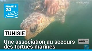 En Tunisie, une association au secours des tortues marines • FRANCE 24