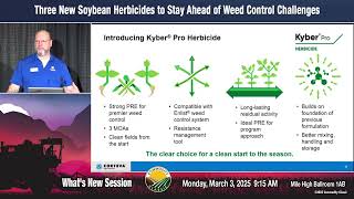 Three New Soybean Herbicides to Stay Ahead of Weed Control Challenges