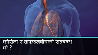 कोरोना र तापक्रमका बीचमा के सम्बन्ध ?